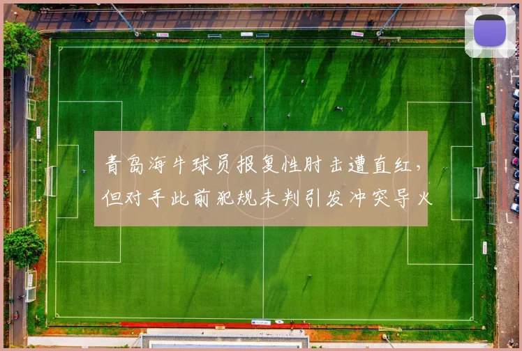 青岛海牛球员报复性肘击遭直红,但对手此前犯规未判引发冲突导火索